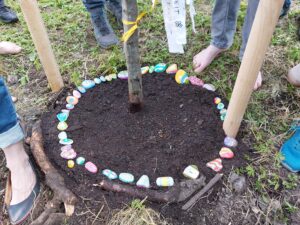 © Renate Steinhuber