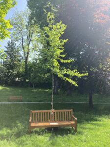 signal-2023-05-27-15-49-47-950