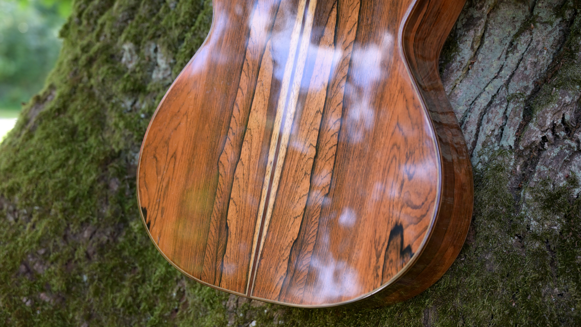 Gitarre aus Palisanderholz