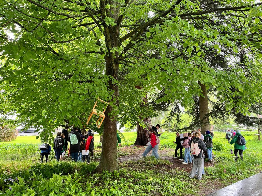Was kommt vom Baum