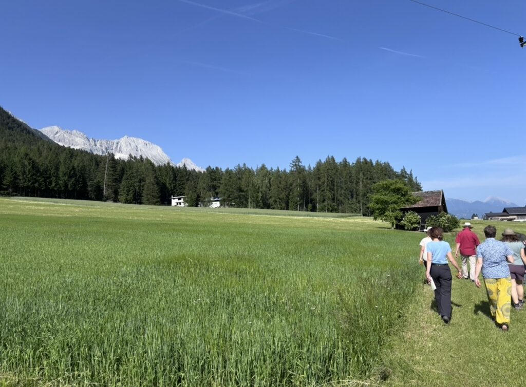 Titelbild, zeigt Baumkreismenschen am Weg zum Baumwochenende
